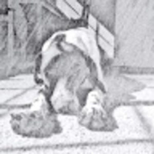 Meet your Posher, Jjlakas16